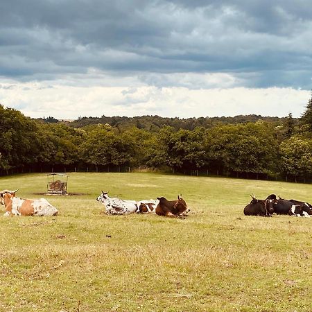 Escapade Dans Un Ranch Apartman Le Sourn Kültér fotó