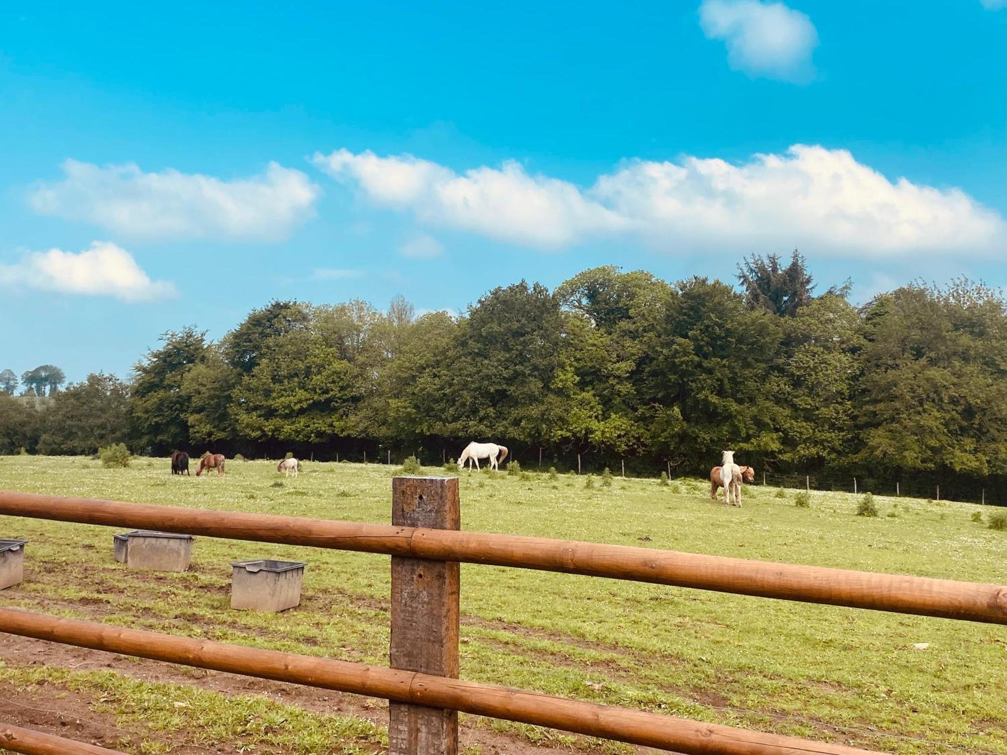 Escapade Dans Un Ranch Apartman Le Sourn Kültér fotó